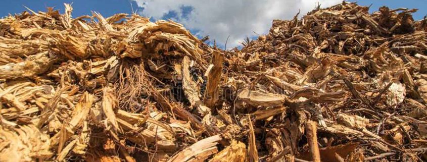 تاثیر چوب ترموود بر محیط زیست